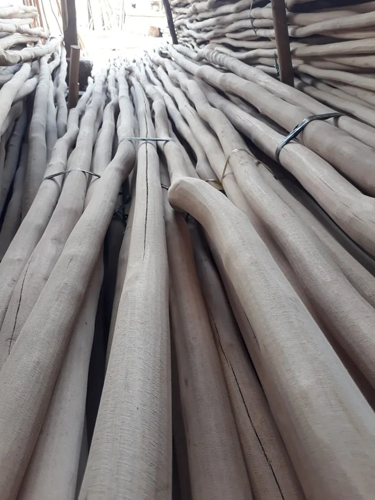 Jual Kayu Galam di Bali