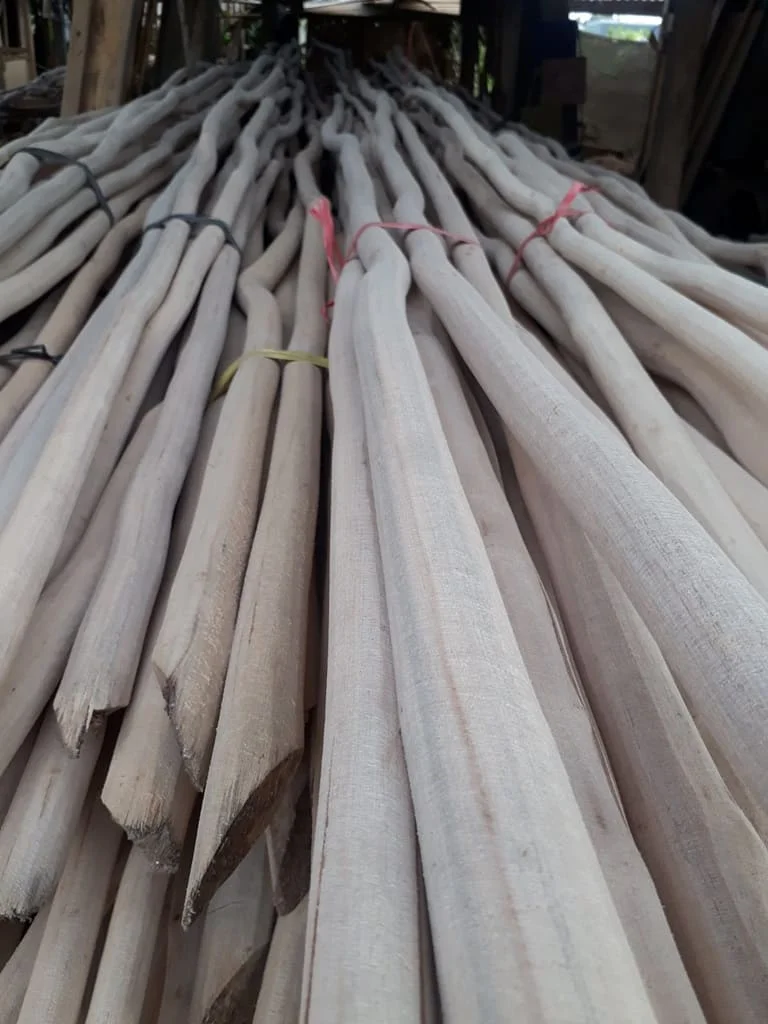 Jual Kayu Galam di Bali