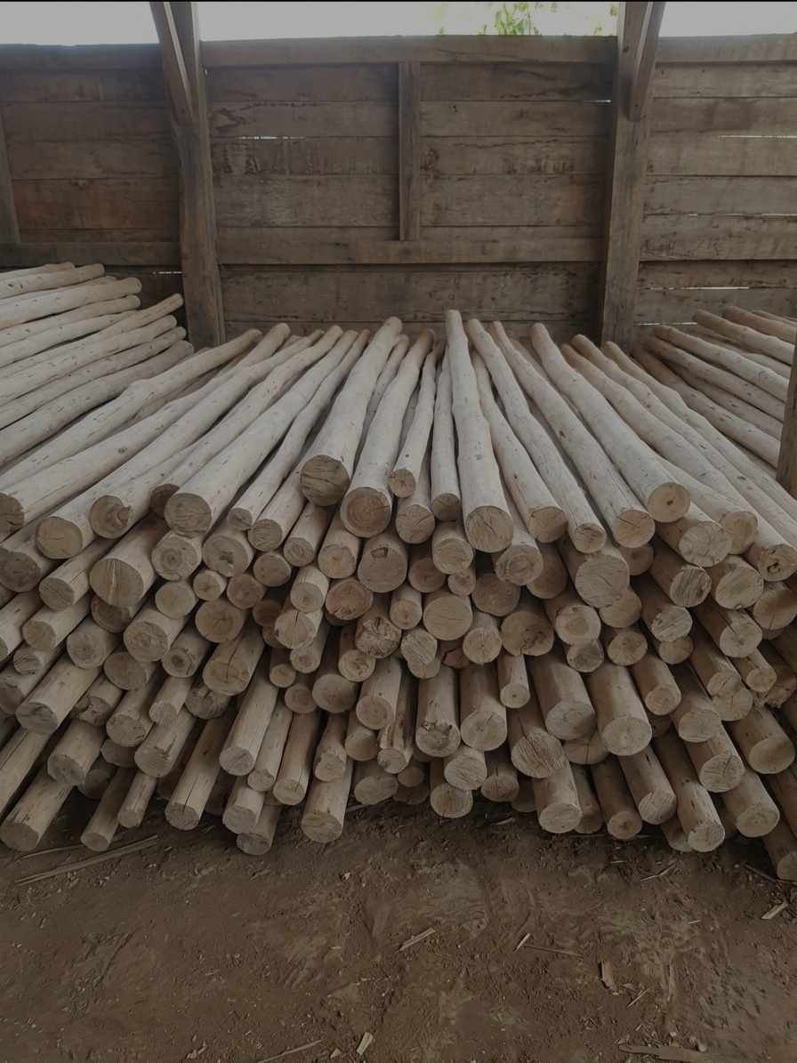 Galam Wood Lombok