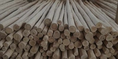 Galam Wood Lombok